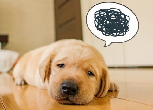 パチンコで勝って何がしたい?勝ち続けても悩みと不安は尽きない理由