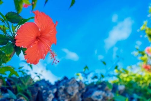 パチンコ規制の更なる強化とその先の時代を生きるために必要なこと